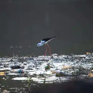 Riduzione Sprechi e Inquinamento