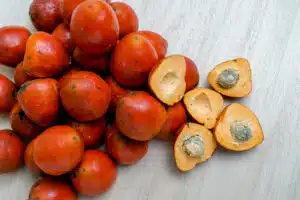 olio di palma olio di palma e deforestazione alternative sostenibili all’olio di palma prodotti senza olio di palma distruzione degli habitat naturali