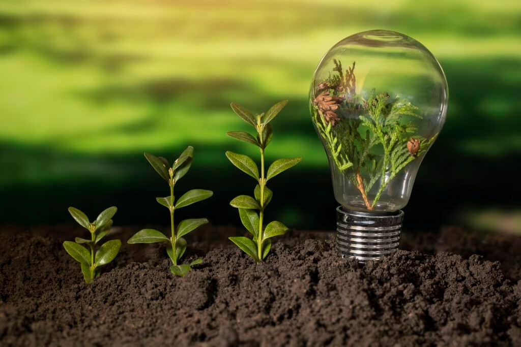 Energia dalle piante, bioenergia