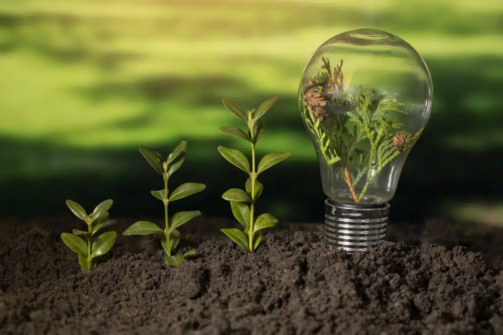 Energia dalle piante, bioenergia