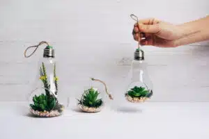 Miti sull'efficienza energetica , consumo energetico casa come risparmiare energia elettrica elettrodomestici a basso consumo consigli per ridurre la bolletta