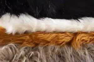 utilizzo di animali nella fast fashion, pelli e pellicce nella moda, moda sostenibile senza pellicce, cruely free