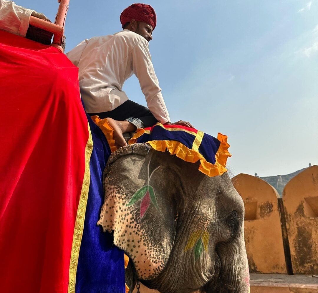 Passeggiate sugli elefanti in Thailandia, elephant riding, turismo responsabile in indonesia