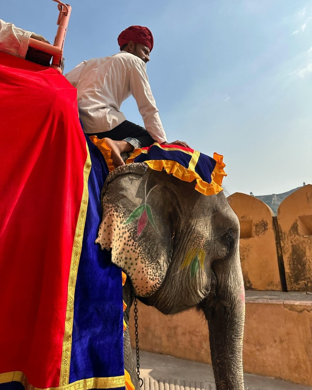 Passeggiate sugli elefanti in Thailandia, elephant riding, turismo responsabile in indonesia